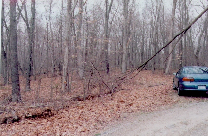 begining.jpg (107400 bytes)