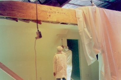 paint.jpg (60279 bytes)